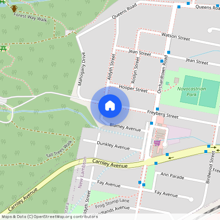 3 Freyberg Street, New Lambton NSW 2305