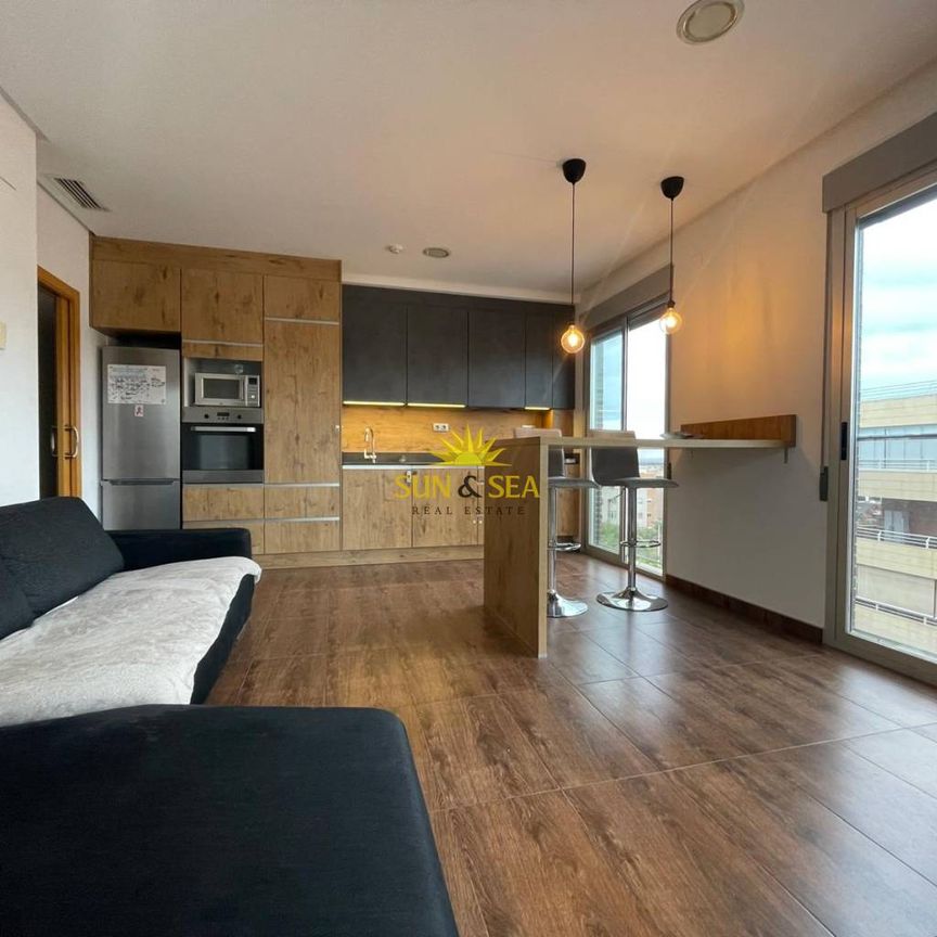 3-BEDROOM PENTHOUSE - ELCHE - Photo 1