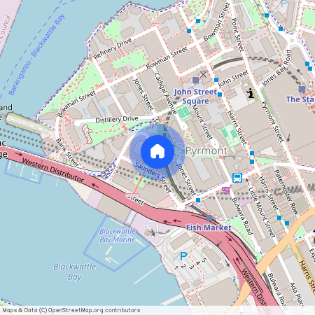 Level3/42 Saunders Street, Pyrmont, NSW 2009