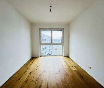 Q11 - Ruhig & zentral: Wohnen zwischen Altstadt & Flusslandschaft - Foto 3