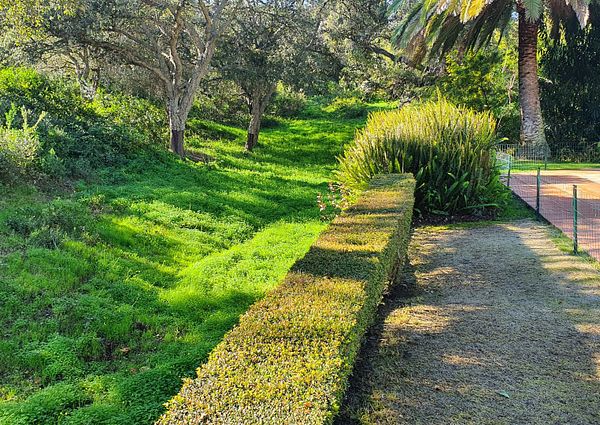 A Zone - Forest house in Lower Sotogrande