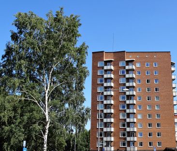 Rösgången, Norrköping - Foto 3