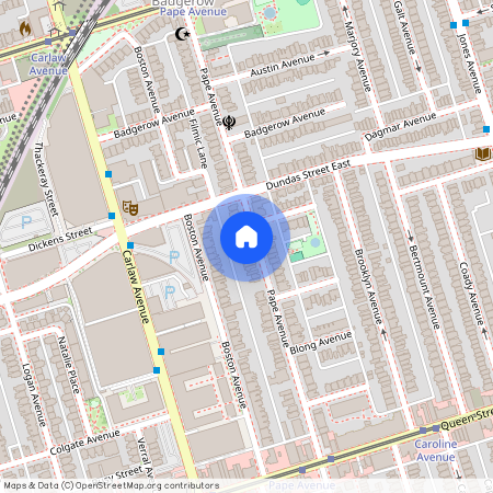 220 Pape Avenue Unit# Lower, Toronto