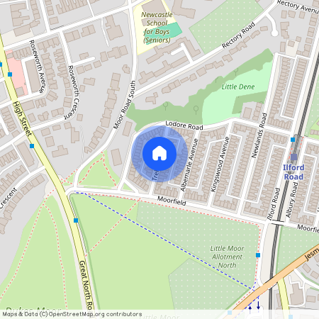 Treherne Road, Newcastle upon Tyne NE2