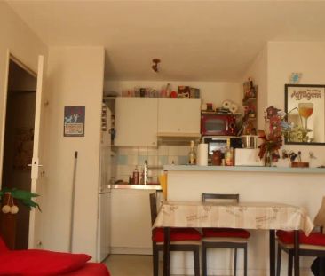 Location appartement 3 pièces - 51m² à Toulouse (31300) - Photo 2