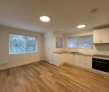 Renovated 1 bedroom flat under affordable housing for lease - Photo 2