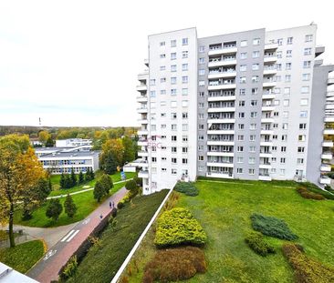 Katowice, Osiedle Tysiąclecia, KRZYWOUSTEGO Mieszkanie na wynajem - Zdjęcie 3