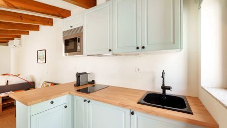 Studio apartment for rent in Porto. available for professionals and students. - Photo 3