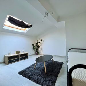 Location Appartement 1 pièce 29m² SARREBOURG 57400 - Photo 2