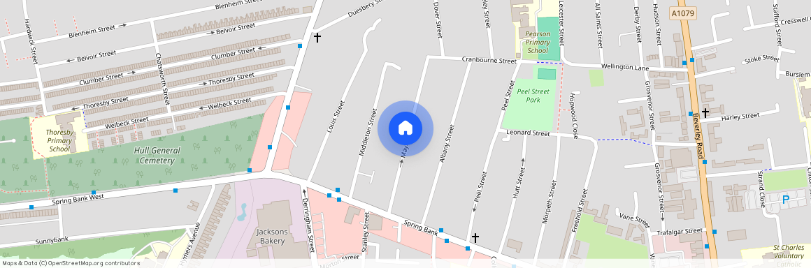 Mayfield Avenue, Mayfield Street, Hull, HU3 1PD