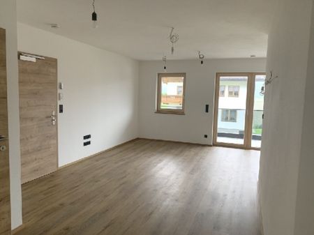 2-Zimmerwohnung in sonniger Lage - Photo 2