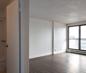1 CH - 1 SDB - Longueuil - $1,560 /mo - Photo 4