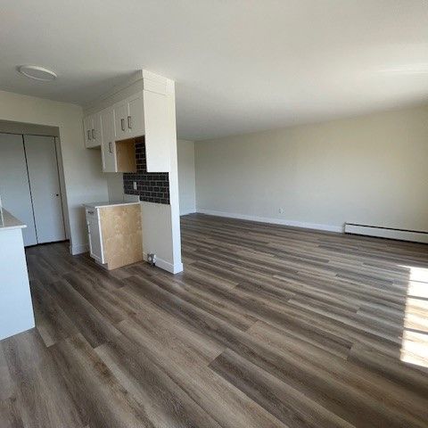 Newly Renovated Second Floor Apartment in White Rock - Photo 1