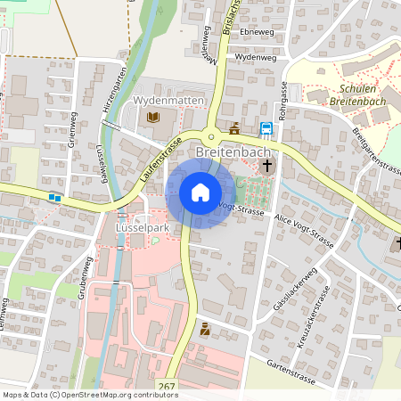 Alice Vogt-Strasse 2 4226 Breitenbach