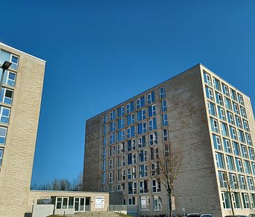 Alle Kosten inklusive! Moderne Mikroapartments für Studenten - Rollstuhlgerecht - Photo 1