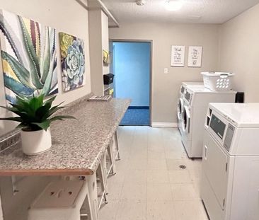Tillson Apts 3 - ALL INCLUSIVE - Photo 5