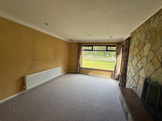 15 Cockhill Road, Lisburn, BT27 5RS - Photo 1