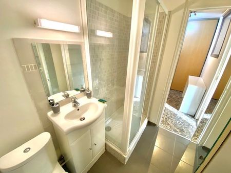 Location Appartement 1 pièce Meublé 27m² VILLEURBANNE 69100 - Photo 5