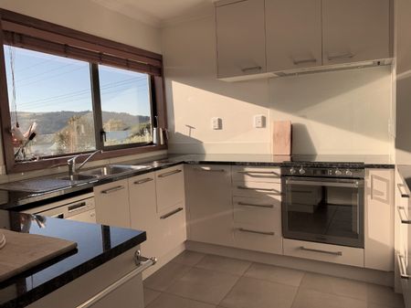 637A Highgate, Maori Hill, Dunedin - Photo 4