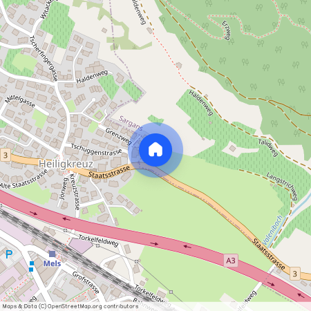 8888, Heiligkreuz (Mels), Steinbüntli, 2