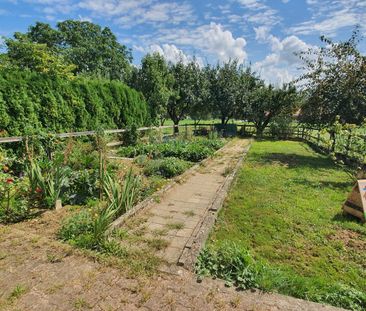 3.5 Zimmer, 92 m², EG - Photo 5