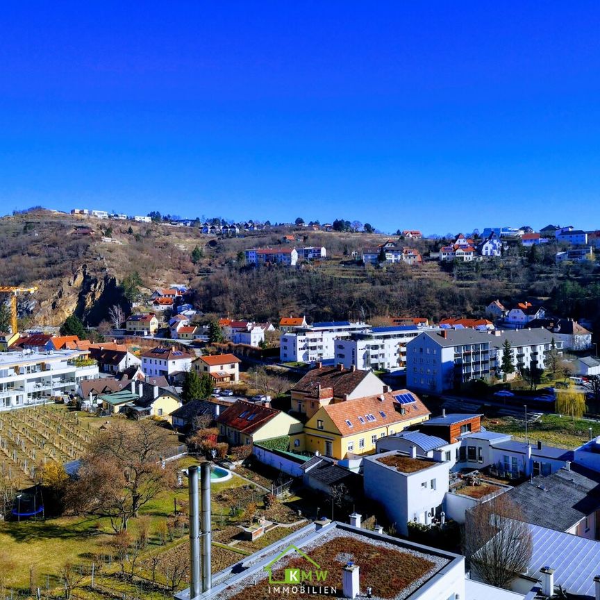 PUNKTHAUS: Top-Mietwohnung mit Ausblick - Foto 1