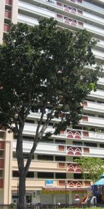 Blk 11 Chai Chee Road (Bedok), HDB 4 Rooms - For Rent - Photo 4