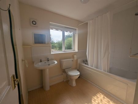 1 Beds - Apartment - - Photo 4