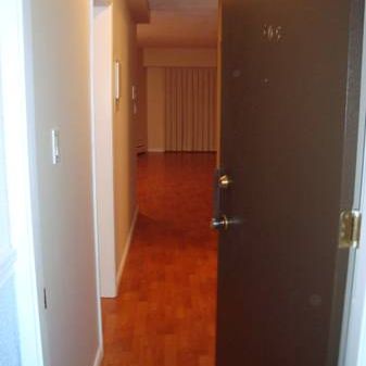 Large Renovated One Bedroom Suite in Mt Pleasant (Main & 12th) - Photo 3