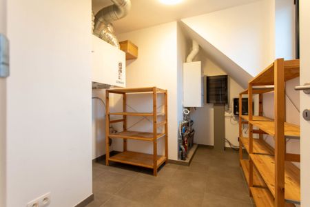 Wuustwezel - Photo 4