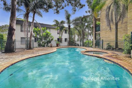 29/446 Pacific Highway, Lane Cove NSW 2066 - Apartment For Rent | Domain - Photo 2