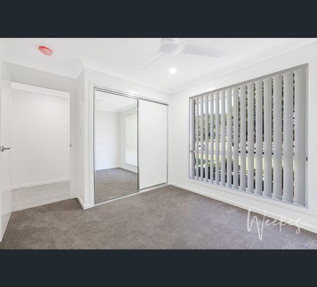 17 Wilson Street, Kepnock, Qld 4670 - Photo 3