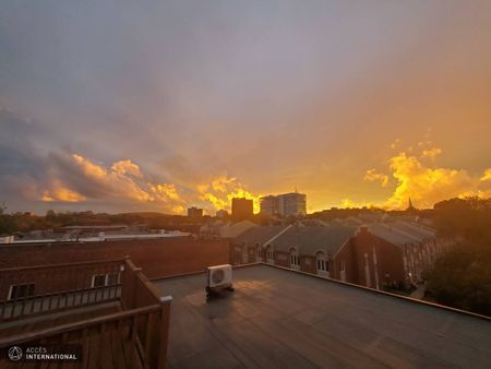 Spacious furnished apartment for rent located in the heart of Montréal - Photo 5