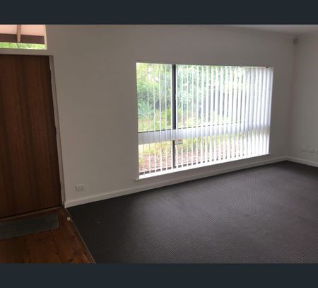 2/453 The Parade, Kensington Gardens, SA 5068 - Photo 4
