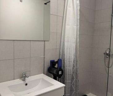 Location Appartement 1 pièce Meublé 21m² ROANNE 42300 - Photo 6