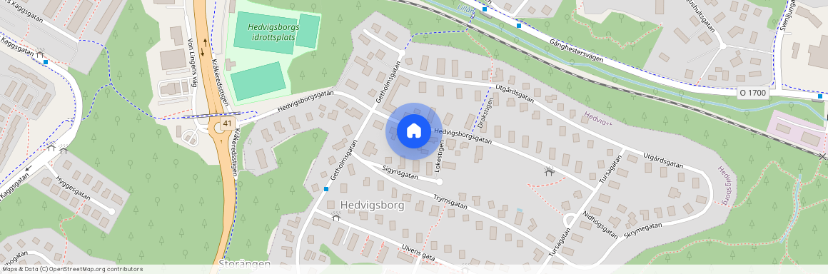 Borås, Hedvigsborgsgatan, 24, 50447