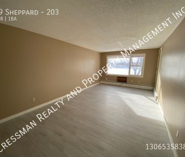 1 bed 1 bath apartment - Photo 4