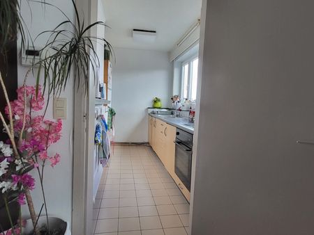 Ruim 3-slaapkamerappartement in hartje Deinze - Foto 5