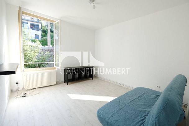 Location Appartement 2 pièces Meublé 50m² ST ETIENNE 42000 - Photo 1