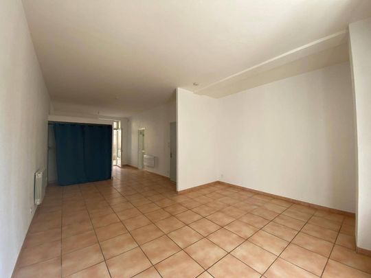 Location appartement rénové 1 pièce 40.8 m² à Romans-sur-Isère (26100) 4 - Photo 1