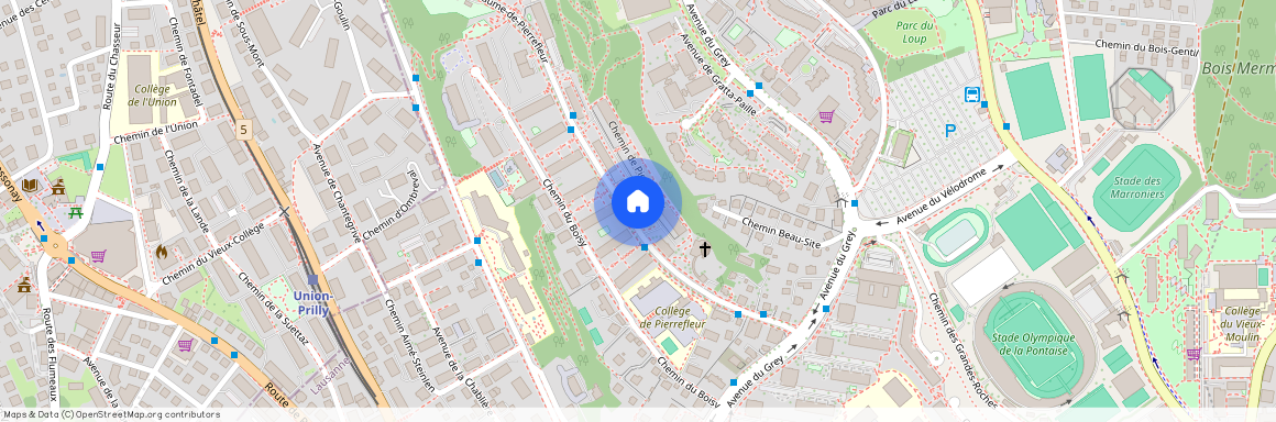 Pierrefleur b 32 b, 1004 Lausanne