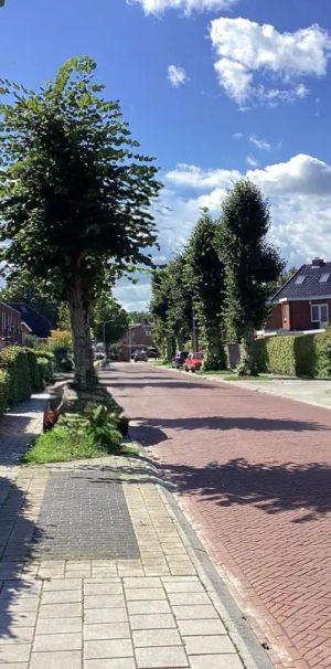 Maison d'angle Pelikaanstraat, Assen - À louer - Foto 2