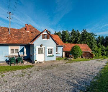 Haus mit großem Grund und Wald zur Miete - Photo 2