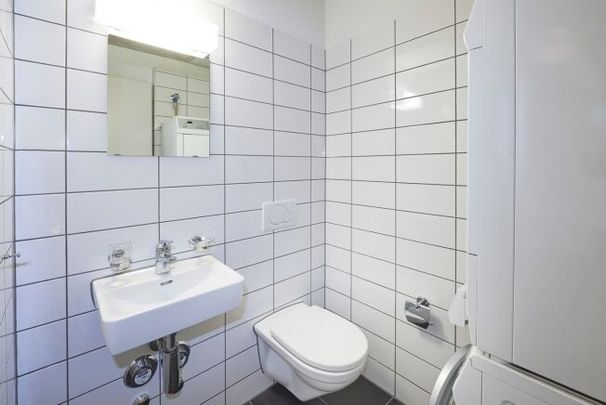 Unique loft with atrium and rooftop terrace - Photo 1