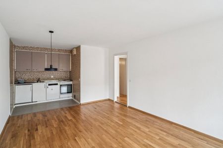 2 Zimmer, 45 m², 2. Stock - Photo 3