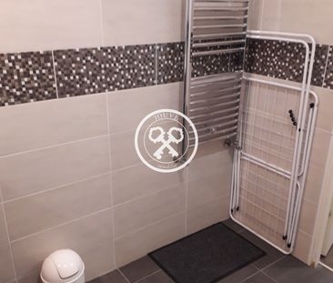 Location Appartement 1 pièce 26m² STE SAVINE 10300 - Photo 6