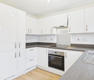 3 bedroom semi-detached house to rent - Photo 3