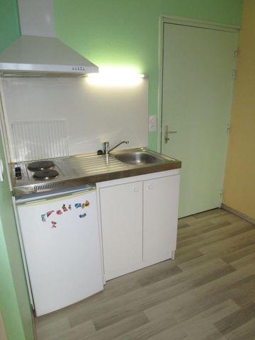 Location Appartement 1 pièce Meublé 20m² RISCLE 32400 - Photo 3