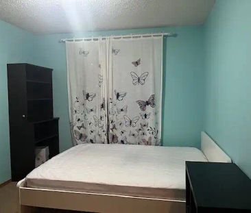Millrise One Bedroom For Rent — 3 Bedrooms Room For Rent - Photo 1