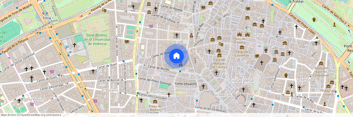 Carrer del Rei en Jaume, Valencia, Valencian Community 46008